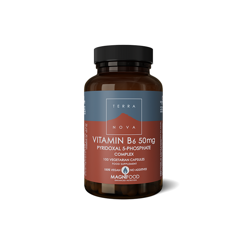 Vitamin B6 50 mg, Terranova 50 caps