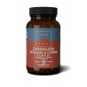 Dandelion, Artichoke & Cysteine Complex, Terranova 50 kaps