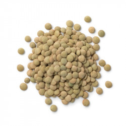 Grön Lins 1,5 KG, Ekologisk