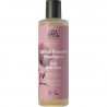 wild-rose-shampoo-urtekram wild-rose-shampoo-urtekram