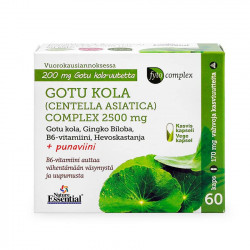 Fytocomplex Gotu Kola + Ginkgo Biloba 60 kaps
