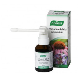 Echinacea-Salvia...
