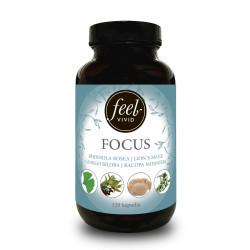 Focus - 120 kapselia