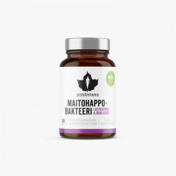 Maitohappobakteeri-LactoSpo...